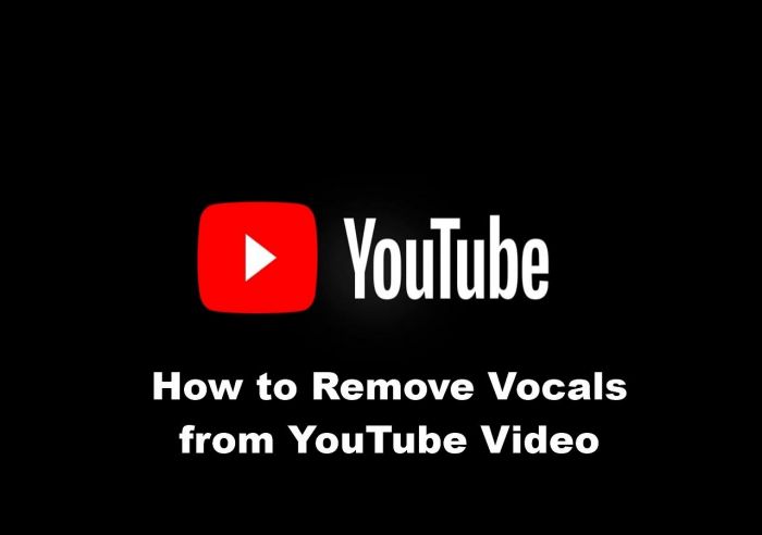 how to remove vocals from a youtube video